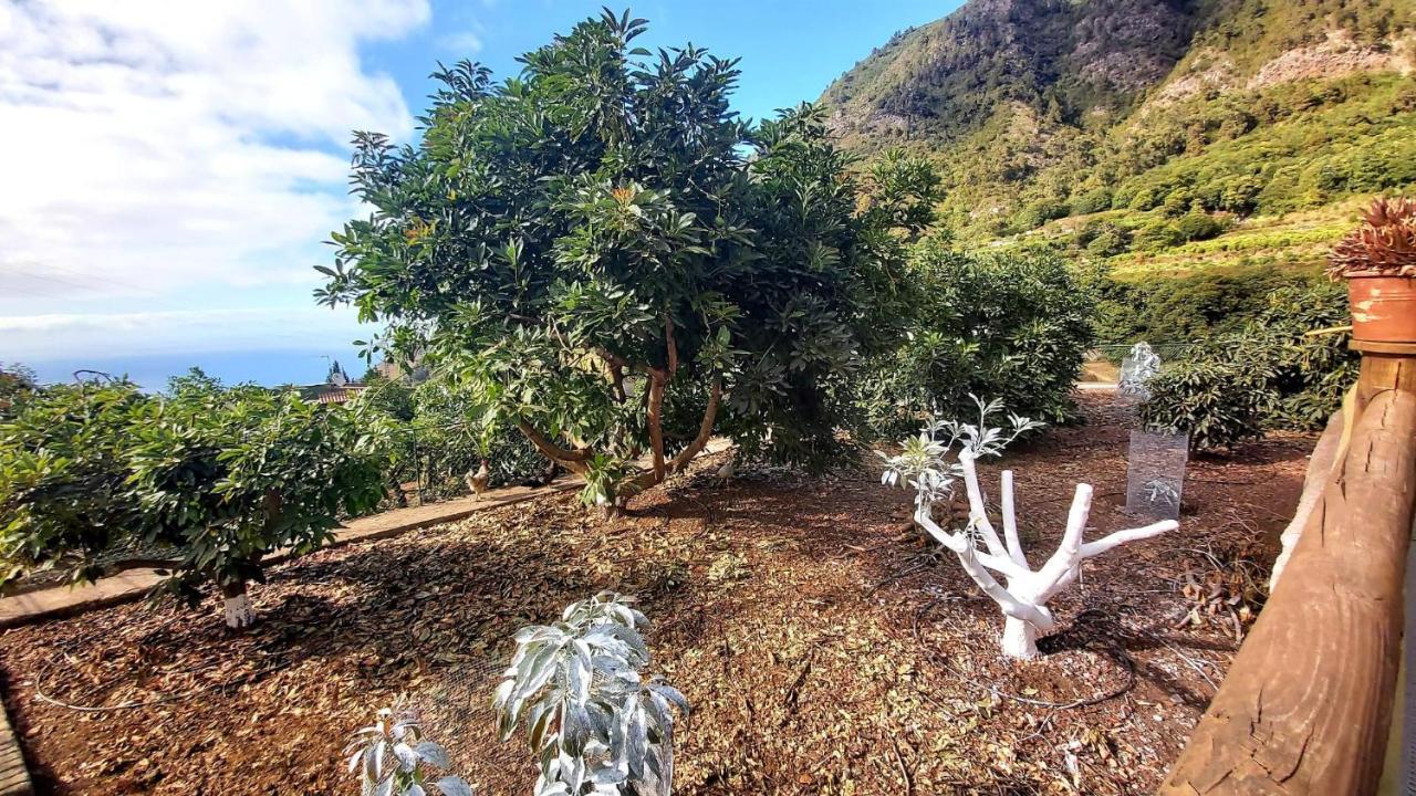 Casa Rural La Resbala - Casa Drago ลาโอโรตาวา ภายนอก รูปภาพ