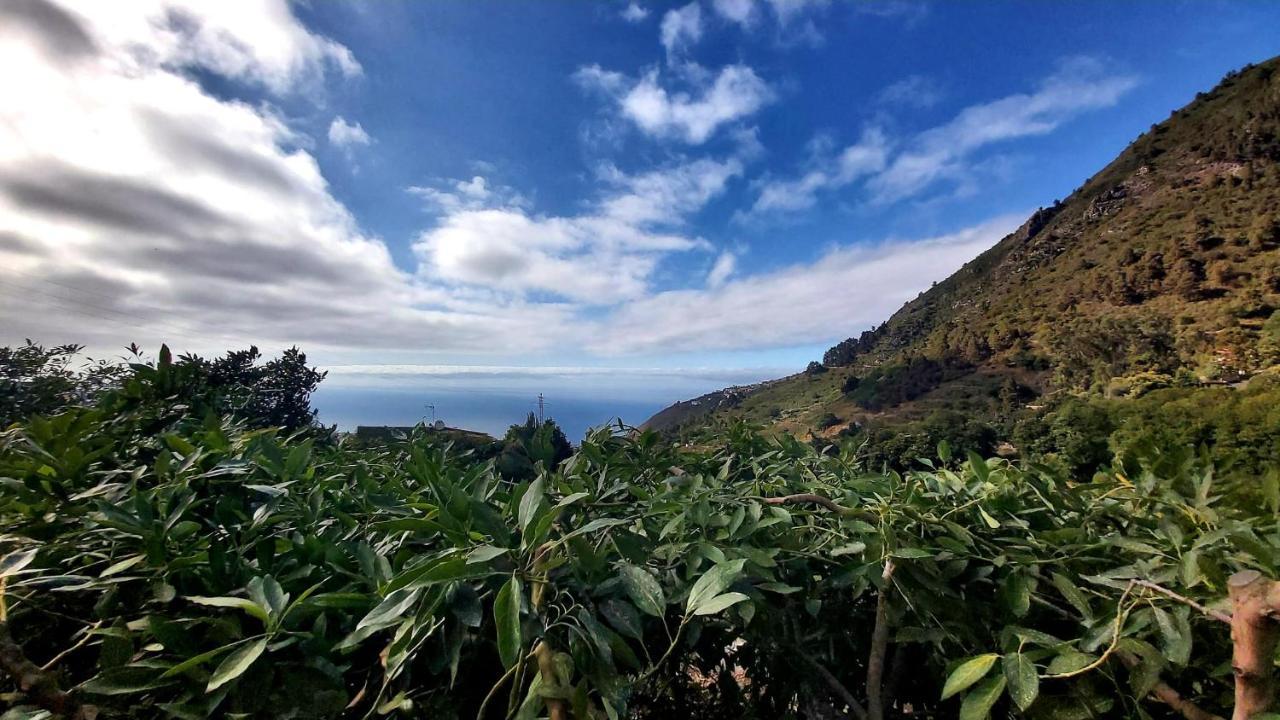 Casa Rural La Resbala - Casa Drago ลาโอโรตาวา ภายนอก รูปภาพ